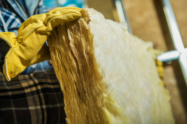 Best Cellulose Insulation in Mendenhall, MS